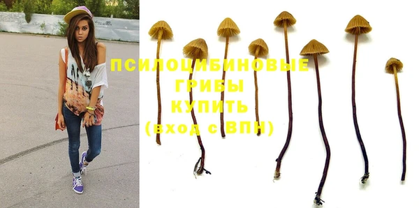 таблы Алексеевка