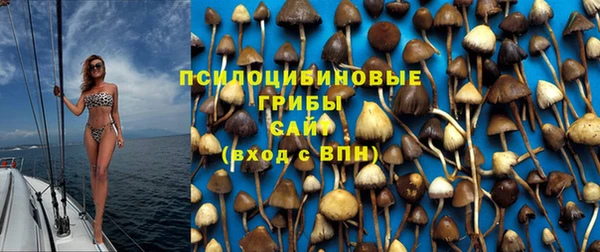 прущая мука Алзамай