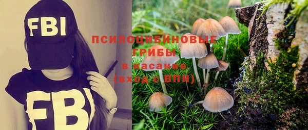 кокаин премиум Алексин