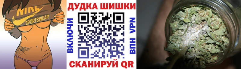 Шишки марихуана White Widow  MEGA онион  Сясьстрой  купить наркотик 